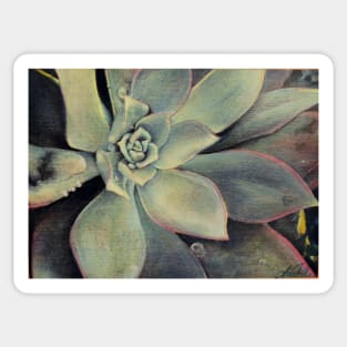 Succulent 2 Sticker